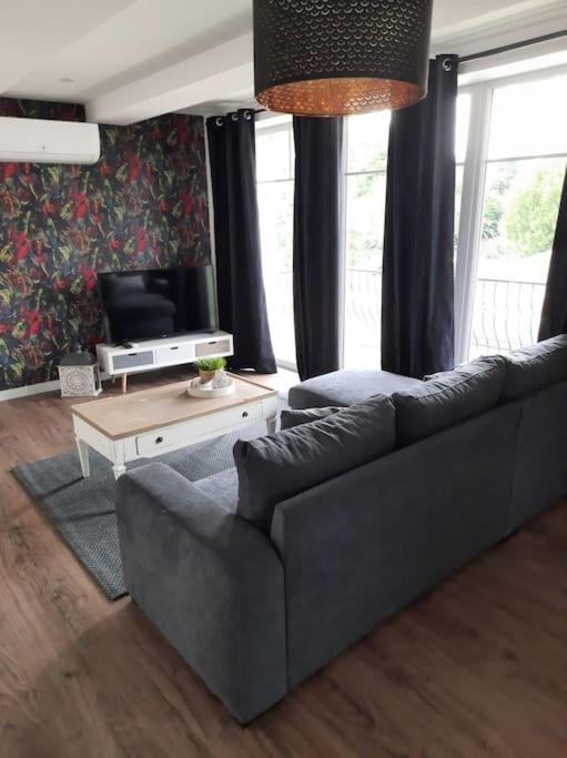 Superbe Appartement Climatise Au Centre Ville 777 Brazey-en-Plaine Εξωτερικό φωτογραφία